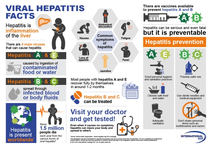 Hepatitis Facts_Infographic Online_v2_1July2015